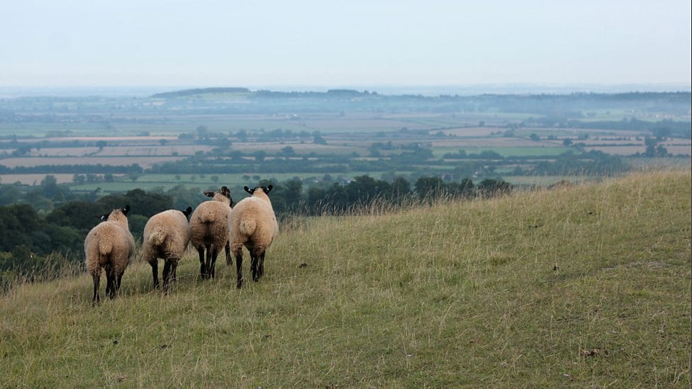 cotswolds london cycle holiday