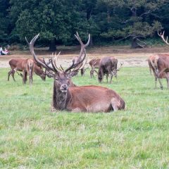 London to the Cotswolds