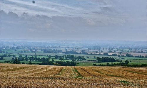 Moreton-in-Marsh to Kingham