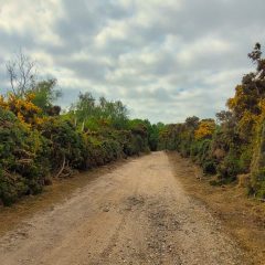 Cambridge to the Coast