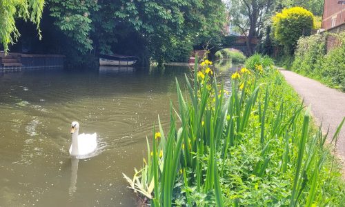 Bike and Walk Oxford to the Cotswolds Cycle Holiday